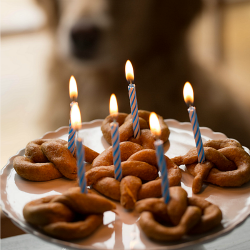 Sweet Potato Pretzel Dog Treats