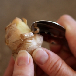 Tips for Fresh Ginger