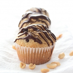 Peanut Butter & Chocolate Muffins