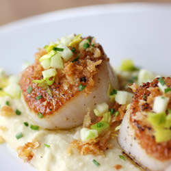 Scallops & Potato Celery Root Puree