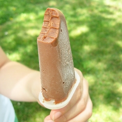 Chocolate & Peanut Butter Fudgsicle