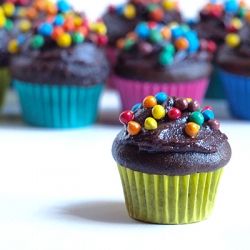 Vegan Chocolate Baby Cupcakes