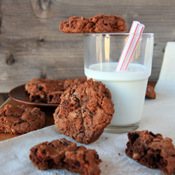 Chocolate Pecan Brownie Cookies