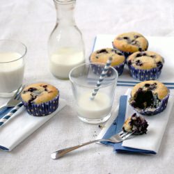 Low-Carb Blueberry Muffins