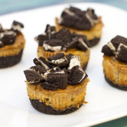 Mini Biscoff Cheesecakes