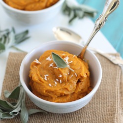 Creamy Butternut Squash Puree