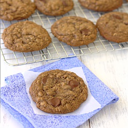 Cocoa Oatmeal Chocolate Chip Cookie