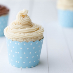 Vegan Basic Vanilla Cupcake