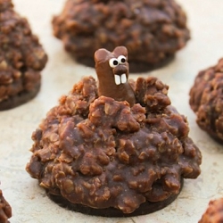 Pop-up Groundhog Cookies