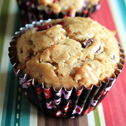 Chocolate & Cranberry Muffins