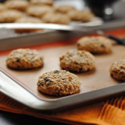 Low Fat Oatmeal Cookies