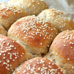 Multigrain Buns Rolls