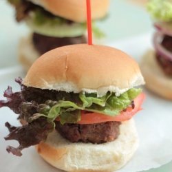 Mini Sliders