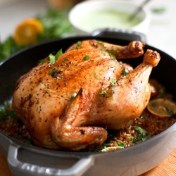 Roasted Harissa Chicken