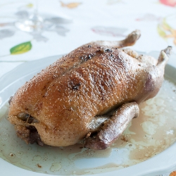 Roasted Duck