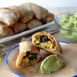 Baked Veg Southwestern Egg Rolls