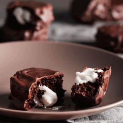 Chocolate Snack Cakes