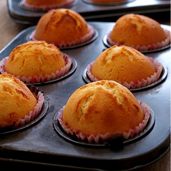 Madeleines