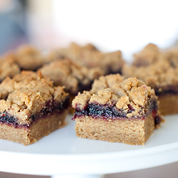 Peanut Butter and Jelly Bars