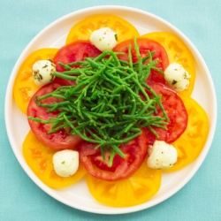 Hawaiian Style Caprese Salad