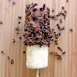 Chocolate Covered Banana on a Stick