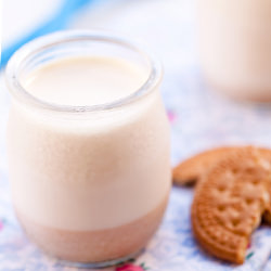 Cookies and Cinnamon Yoghurt