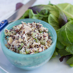 Creamy Coconut Chicken Salad