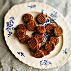 Peanut Butter Date Cookies