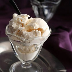 Perfect Low Carb Vanilla Ice Cream