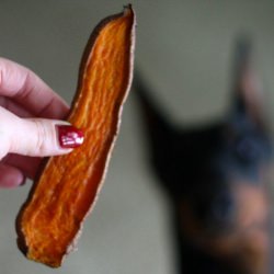 Sweet Potato Chews (For Dogs!)