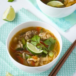 Spicy Asian Chicken Noodle Soup