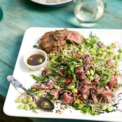 Japanese Style Beef Salad