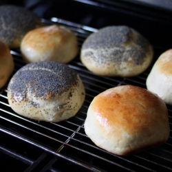 Homemade Hot Dog or Hamburger Buns