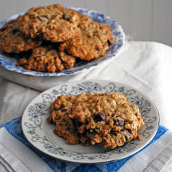 Coconut Oatmeal Cookies