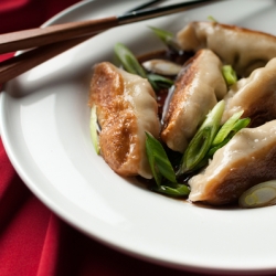 Venison Pot Stickers