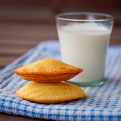 Madeleines