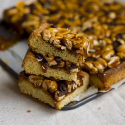 Blondie Bars