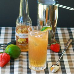 Kentucky Buck Cocktail