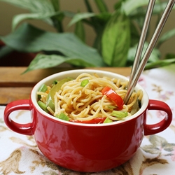 Veg Hakka Noodles