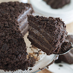 Chocolate Pudding Cake