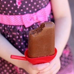 Chocolate Pudding Pops