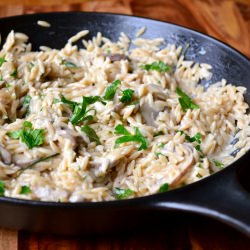 Mushroom Orzotto