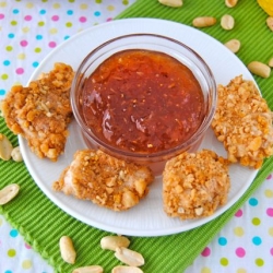 PB Chicken Nuggets with Jam Dip