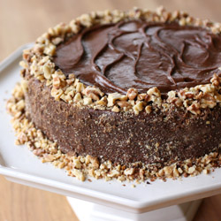 Walnut Spice Cake with Chocolate