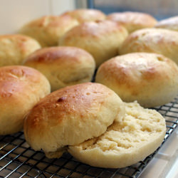 Homemade Hamburger Buns