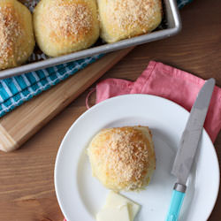 Dinner Rolls