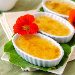 Vanilla Vegan Creme Brulee