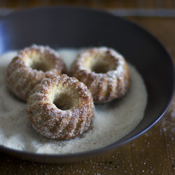 Vegan Cinnamon Oat Donuts