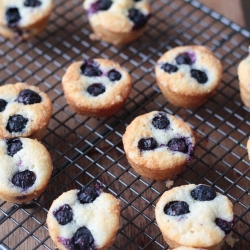 Blueberry & Lemon Friands