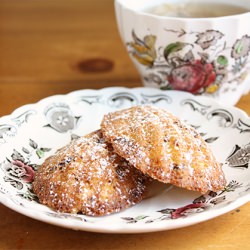 Chocolate & Orange Madeleines